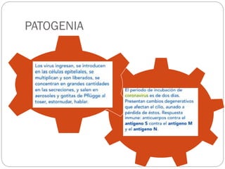 PATOGENIA
.
.
 