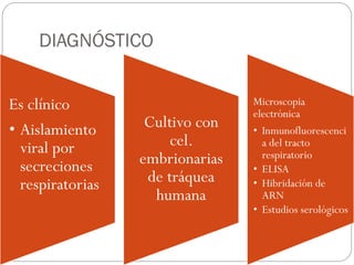 DIAGNÓSTICO
Es clínico
• Aislamiento
viral por
secreciones
respiratorias
Cultivo con
cel.
embrionarias
de tráquea
humana
Microscopia
electrónica
• Inmunofluorescenci
a del tracto
respiratorio
• ELISA
• Hibridación de
ARN
• Estudios serológicos
 
