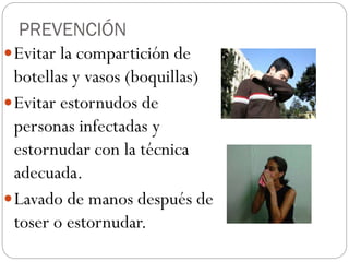 PREVENCIÓN
Evitar la compartición de
botellas y vasos (boquillas)
Evitar estornudos de
personas infectadas y
estornudar con la técnica
adecuada.
Lavado de manos después de
toser o estornudar.
 