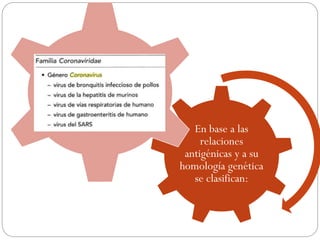 En base a las
relaciones
antigénicas y a su
homología genética
se clasifican:
.
 