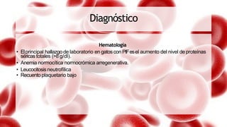 Diagnóstico
Hematología
• Elprincipal hallazgo de laboratorio en gatos con PIFesel aumento del nivel de proteínas
séricas totales (>8 g/dl).
• Anemia normocítica normocrómica arregenerativa.
• Leucocitosis neutrofílica
• Recuento plaquetario bajo
 