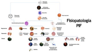 Respuesta
intermedia
Respuesta
inmunitaria
Anticuerpos
anticitoplasmaticos
Monocitos
Vasculitis
Perivasculitis
Granulomatosisperivaculares
Respiratorios
Neumonía
Disnea
Nervioso
Déficitpares
craneales
Ocular
Uveítis
Intestinal
Vomitoy
diarrea
Incremento en la
permeabilidadvascular
Depositode
complejos
inmunes
Acumulaciónde
liquido ricoen
proteínas
Cavidad
peritoneal
Daño
hepático
Ictericia
Cavidad
pleural
Disnea
respiratoria
asincrónica
Disminución de la
resonancia a la
percusión deltórax
Cavidad
pericárdica
Amortiguamientoruidos
cardiacos
Cavidad
subscapular
renaly
escroto
Fisiopatología
PIF
Malarespuesta
 