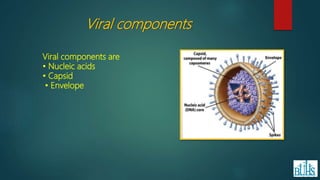 Viral components are
• Nucleic acids
• Capsid
• Envelope
Viral components
 