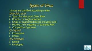 Types of Virus
Viruses are classified according to their
1)Nucleic acid:
 Type of nucleic acid: DNA, RNA
 Double- vs. single-stranded
 Single or segmented pieces of nucleic acid
 Positive (+) or negative (-) stranded RNA
 Complexity of genome
2) Capsid:
 Icosahedral
 Helical
3) Envelope:
 Naked
 Enveloped
 