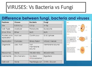 VIRUSES: Vs Bacteria vs Fungi
 