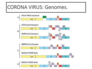 CORONA VIRUS: Genomes.
 