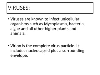 VIRUSES:
• Viruses are known to infect unicellular
organisms such as Mycoplasma, bacteria,
algae and all other higher plants and
animals.
• Virion is the complete virus particle. It
includes nucleocapsid plus a surrounding
envelope.
 