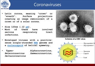 Corona Types Corona virus | PPTX
