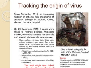 Tracking the origin of virus
• Since December 2019, an increasing
number of patients with pneumonia of
unknown etiology in Wuhan, China,
alarmed the local hospital.
 On 29 December, 2019, 4 cases were
linked to Huanan Seafood wholesale
market, where non-aquatic live animals
and several wild animals were on sale.
 Rats, snakes, monkeys, bats, dogs, cats,
python, octopus, frogs, toads,, fish, crabs,
prawn, turtle,, duck intestines, crab, mantis
shrimp, pig feet, may be seen on sale in the
video links here.
 (https://www.youtube.com/watch?v=EQB
1wD98pSE).
 (https://www.youtube.com/watch?v=nZyF
1-i06Fs)
 (https://www.youtube.com/watch?v=lBDq
kWMGYlQ)
The viral origin was linked
Live animals allegedly for
sale at the Huanan Seaford
Market in China.
Source:
https://nypost.com/2020/01/25/insid
e-the-horrific-inhumane-animal-
markets-behind-pandemics-like-
coronavirus/
 