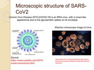Microscopic structure of SARS-
CoV2
https://www.hhmi.org/news/patients-with-severe-
forms-of-coronavirus-disease-could-offer-clues-to-
treatment
Electron microscope image of virus
Source:
https://www.cusabio.com/2019-
novel-coronavirus.html
Corona Virus Disease 2019 (COVID-19) is an RNA virus, with a crown-like
appearance due to the glycoprotein spikes on its envelope.
 