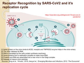 Receptor Recognition by SARS-CoV2 and it’s
replication cycle
https://www.fpm.org.uk/blog/covid-19-sars-cov-2-
pandemic/
[1] Spike protein on the virion binds to ACE2, receptor and TMPRSS2 enzyme helps in the virion entery
[2] The virion releases its RNA
[3] RNA is translated by the cell’s protein synthesis machinery
[4] Some proteins form a replication complex to make more RNA
[5] Proteins and RNA are assembled into a new virion in the Golgi complex
[6] Release of mature virion particles
Sources: Song et al., ‘Viruses’, 2019; Jiang et al., ‘Emerging Microbes and Infections, 2012; ‘The Economist’.
 