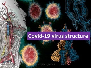 Structural proteins of Covid-19
Covid-19 virus structure
Dr.Harinatha Reddy, MSc, Ph.D.
 