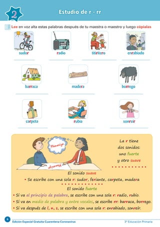 6
Edición Especial Gratuita Cuarentena Coronavirus 3º Educación Primaria
Estudio de r - rr
2
sudor
barraca
titiritero
borrego
sonreír
radio
madera
rubia
enrabiado
carpeta
Lee en voz alta estas palabras después de tu maestra o maestro y luego cópialas
El sonido suave
• Se escribe con una sola r: sudor, feriante, carpeta, madera
El sonido fuerte
• Si va al principio de palabra, se escribe con una sola r: radio, rubio.
• Si va en medio de palabra y entre vocales, se escribe rr: barraca, borrego.
• Si va después de l, n, s, se escribe con una sola r: enrabiado, sonreír.
La r tiene
dos sonidos:
uno fuerte
y otro suave
 