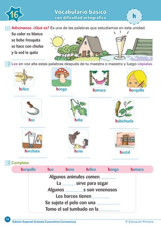 24
Edición Especial Gratuita Cuarentena Coronavirus 3º Educación Primaria
Vocabulario básico
con dificultad ortográfica16 h
Su color es blanco
se bebe fresquita
se hace con chufas
y la sed te quita
Lee en voz alta estas palabras después de tu maestra o maestro y luego cópialas
hélice
hoz
hamaca
habichuela
hostal
hongo
haba
heno
horquilla
horchata
Adivinanza. ¿Qué es? Es una de las palabras que estudiamos en esta unidad.
Completa
horquilla hoz heno hélice hongo hamaca
Algunos animales comen
La sirve para segar
Algunos s son venenosos
Los barcos tienen
Se sujeta el pelo con una
Tomo el sol tumbado en la
 