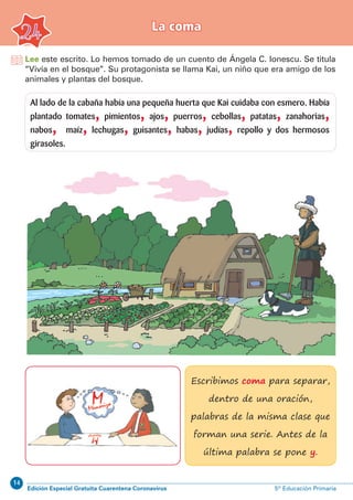 14
Edición Especial Gratuita Cuarentena Coronavirus 5º Educación Primaria
Lee este escrito. Lo hemos tomado de un cuento de Ángela C. Ionescu. Se titula
“Vivía en el bosque”. Su protagonista se llama Kai, un niño que era amigo de los
animales y plantas del bosque.
24
La coma
Al lado de la cabaña había una pequeña huerta que Kai cuidaba con esmero. Había
plantado tomates, pimientos, ajos, puerros, cebollas, patatas, zanahorias,
nabos, maíz, lechugas, guisantes, habas, judías, repollo y dos hermosos
girasoles.
Escribimos coma para separar,
dentro de una oración,
palabras de la misma clase que
forman una serie. Antes de la
última palabra se pone y.
 