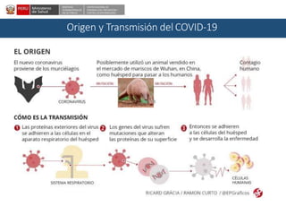 DESPACHO
VICEMINISTERIALDE
SALUD PÚBLICA
CENTRO NACIONALDE
EPIDEMIOLOGÍA, PREVENCIÓN Y
CONTROLDEENFERMEDADES
Origen y Transmisión del COVID-19
 