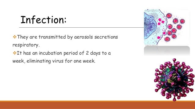 They are transmitted by aerosols secretions
respiratory.
It has an incubation period of 2 days to a
week, eliminating vi...
