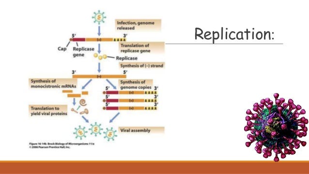 :Replication
 