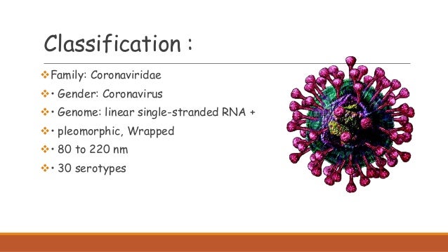 Classification :
Family: Coronaviridae
• Gender: Coronavirus
• Genome: linear single-stranded RNA +
• pleomorphic, Wra...
