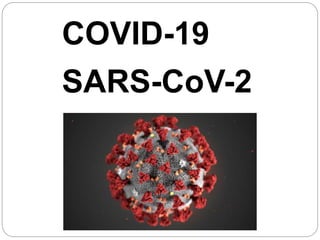 COVID-19
SARS-CoV-2
 