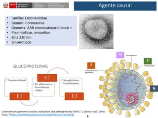 DESPACHO
VICEMINISTERIAL DE
SALUD PÚBLICA
CENTRO NACIONAL DE
EPIDEMIOLOGÍA, PREVENCIÓNY
CONTROL DE ENFERMEDADES
N
Coronaviruses: genome structure, replication, and pathogenesisYu Chen1, *, Qianyun Liu1, Deyin
Guo2, *https://onlinelibrary.wiley.com/doi/epdf/10.1002/jmv.25681
S
E
M
• Familia: Coronaviridae
• Genero: Coronavirus
• Genoma: ARN monocatenario lineal +
• Pleomórficos, envueltos
• 80 a 220 nm
• 30 serotipos
Agente causal
 