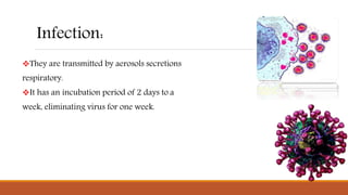 They are transmitted by aerosols secretions
respiratory.
It has an incubation period of 2 days to a
week, eliminating virus for one week.
Infection:
 