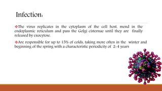 Infection:
The virus replicates in the cytoplasm of the cell host, mend in the
endoplasmic reticulum and pass the Golgi cisternae until they are finally
released by exocytose.
Are responsible for up to 15% of colds, taking more often in the winter and
beginning of the spring with a characteristic periodicity of 2-4 years
 
