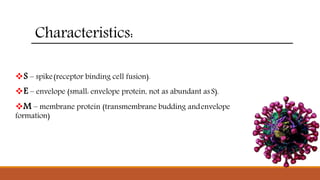 Characteristics:
S – spike(receptor binding cell fusion).
E – envelope (small: envelope protein, not as abundant asS).
M – membrane protein (transmembrane budding andenvelope
formation)
 