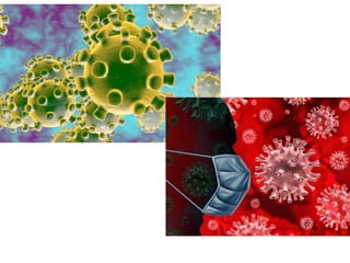 Coronavirus Covid March 2020 