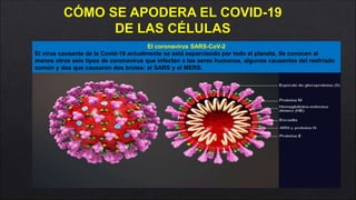 Coronavirus SARS CoV 2 covid-19 Concepto, fisiopatología, inmunología, agente etiológico, reservorios, clínica y síntomas, diagnóstico, tratamiento, control, prevención y recomendaciones. Al 15 de Marzo 2020.