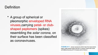 Define Pleomorphic CORONAVIRUSES powerpoint presentation new | PPTX