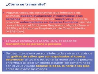 Coronavirus informacion para escuelas