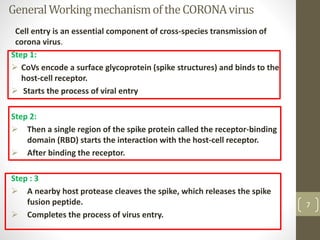 GeneralWorkingmechanismoftheCORONAvirus
Cell entry is an essential component of cross-species transmission of
corona virus.
Step 1:
 CoVs encode a surface glycoprotein (spike structures) and binds to the
host-cell receptor.
 Starts the process of viral entry
Step 2:
 Then a single region of the spike protein called the receptor-binding
domain (RBD) starts the interaction with the host-cell receptor.
 After binding the receptor.
Step : 3
 A nearby host protease cleaves the spike, which releases the spike
fusion peptide.
 Completes the process of virus entry.
7
 
