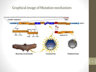 GraphicalimageofMutationmechanism
8
 