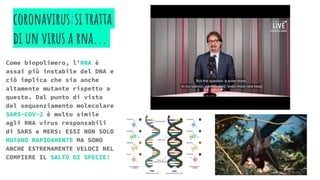 coronavirus:si tratta
di un virus a rna...
Come biopolimero, l’RNA è
assai più instabile del DNA e
ciò implica che sia anche
altamente mutante rispetto a
questo. Dal punto di vista
del sequenziamento molecolare
SARS-COV-2 è molto simile
agli RNA virus responsabili
di SARS e MERS: ESSI NON SOLO
MUTANO RAPIDAMENTE MA SONO
ANCHE ESTREMAMENTE VELOCI NEL
COMPIERE IL SALTO DI SPECIE!
 