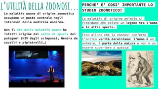 l’utilità della zoonosi...Le malattie umane di origine zoonotica
occupano un posto centrale negli
interessi della medicina moderna.
Ben il 60% delle malattie umane ha
infatti origine dal salto di specie dei
patogeni (HIV dagli scimpanzè, Hendra da
cavalli e pipistrelli…)
PERCHE’ E’ COSI’ IMPORTANTE LO
STUDIO ZOONOTICO?
Le malattie di origine animale ci
ricordano che esiste un legame tra l’uomo
e le altre specie.
Ecco allora che la zoonosi conferma
l’antica verità darwiniana: l’uomo è un
animale, è parte della natura e non è un
essere superiore a questa!
 