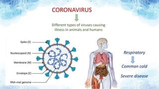 CORONAVIRUS
Different types of viruses causing
illness in animals and humans
Respiratory
Common cold
Severe disease
 