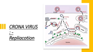 CRONA VIRUS
: -
Repliacotion
 