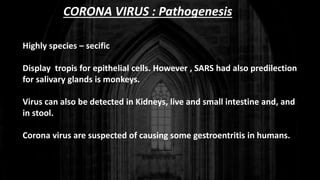 CORONA VIRUS : Pathogenesis
Highly species – secific
Display tropis for epithelial cells. However , SARS had also predilection
for salivary glands is monkeys.
Virus can also be detected in Kidneys, live and small intestine and, and
in stool.
Corona virus are suspected of causing some gestroentritis in humans.
 