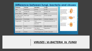 VIRUSES : Vs BACTERIA Vs FUNGI
 