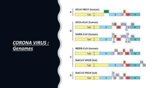 CORONA VIRUS :
Genomes
 