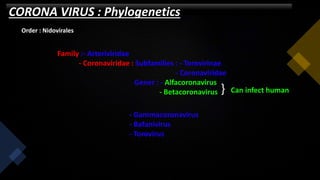 CORONA VIRUS : Phylogenetics
Order : Nidovirales
Family :- Arteriviridae
- Coronaviridae : Subfamilies : - Torovirinae
- Coronaviridae
Gener : - Alfacoronavirus
- Betacoronavirus } Can infect human
- Gammacoronavirus
- Bafanivirus
- Torovirus
 