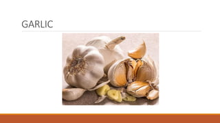 GARLIC
 