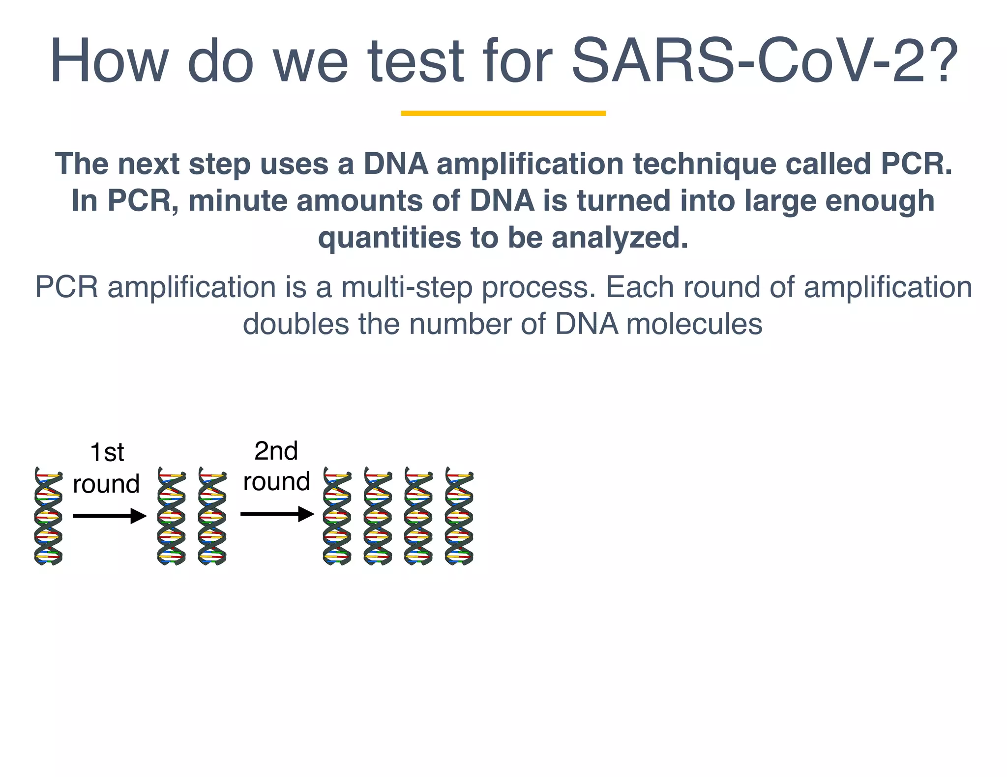 How do we test for SARS-CoV-2?
The next step uses a DNA amplification technique called PCR.
In PCR, minute amounts of DNA is turned into large enough
quantities to be analyzed.
PCR amplification is a multi-step process. Each round of amplification
doubles the number of DNA molecules
1st
round
2nd
round
 