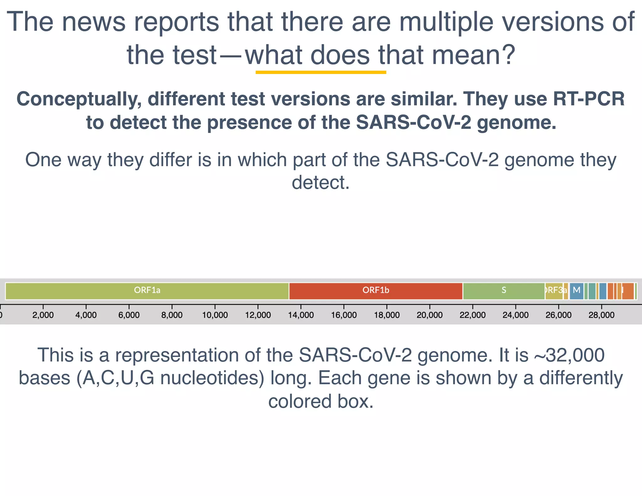 The news reports that there are multiple versions of
the test—what does that mean?
Conceptually, different test versions are similar. They use RT-PCR
to detect the presence of the SARS-CoV-2 genome.
One way they differ is in which part of the SARS-CoV-2 genome they
detect.
This is a representation of the SARS-CoV-2 genome. It is ~32,000
bases (A,C,U,G nucleotides) long. Each gene is shown by a differently
colored box.
 