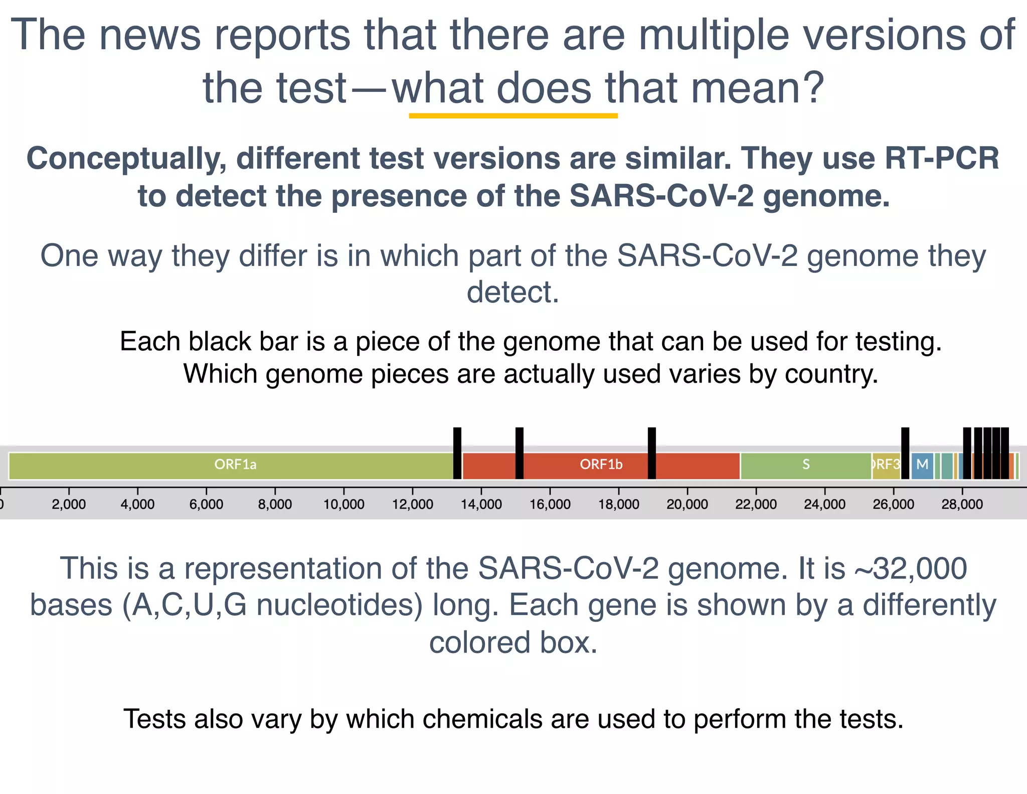The news reports that there are multiple versions of
the test—what does that mean?
Conceptually, different test versions are similar. They use RT-PCR
to detect the presence of the SARS-CoV-2 genome.
One way they differ is in which part of the SARS-CoV-2 genome they
detect.
This is a representation of the SARS-CoV-2 genome. It is ~32,000
bases (A,C,U,G nucleotides) long. Each gene is shown by a differently
colored box.
Each black bar is a piece of the genome that can be used for testing.
Which genome pieces are actually used varies by country.
Tests also vary by which chemicals are used to perform the tests.
 
