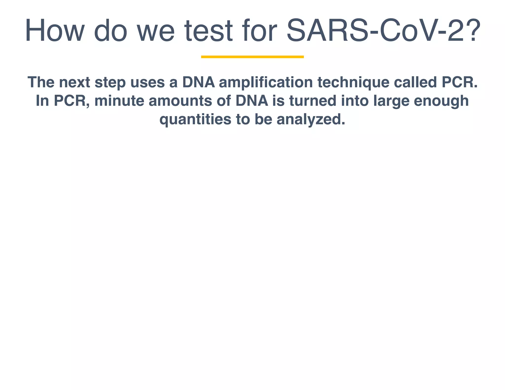 How do we test for SARS-CoV-2?
The next step uses a DNA amplification technique called PCR.
In PCR, minute amounts of DNA is turned into large enough
quantities to be analyzed.
 
