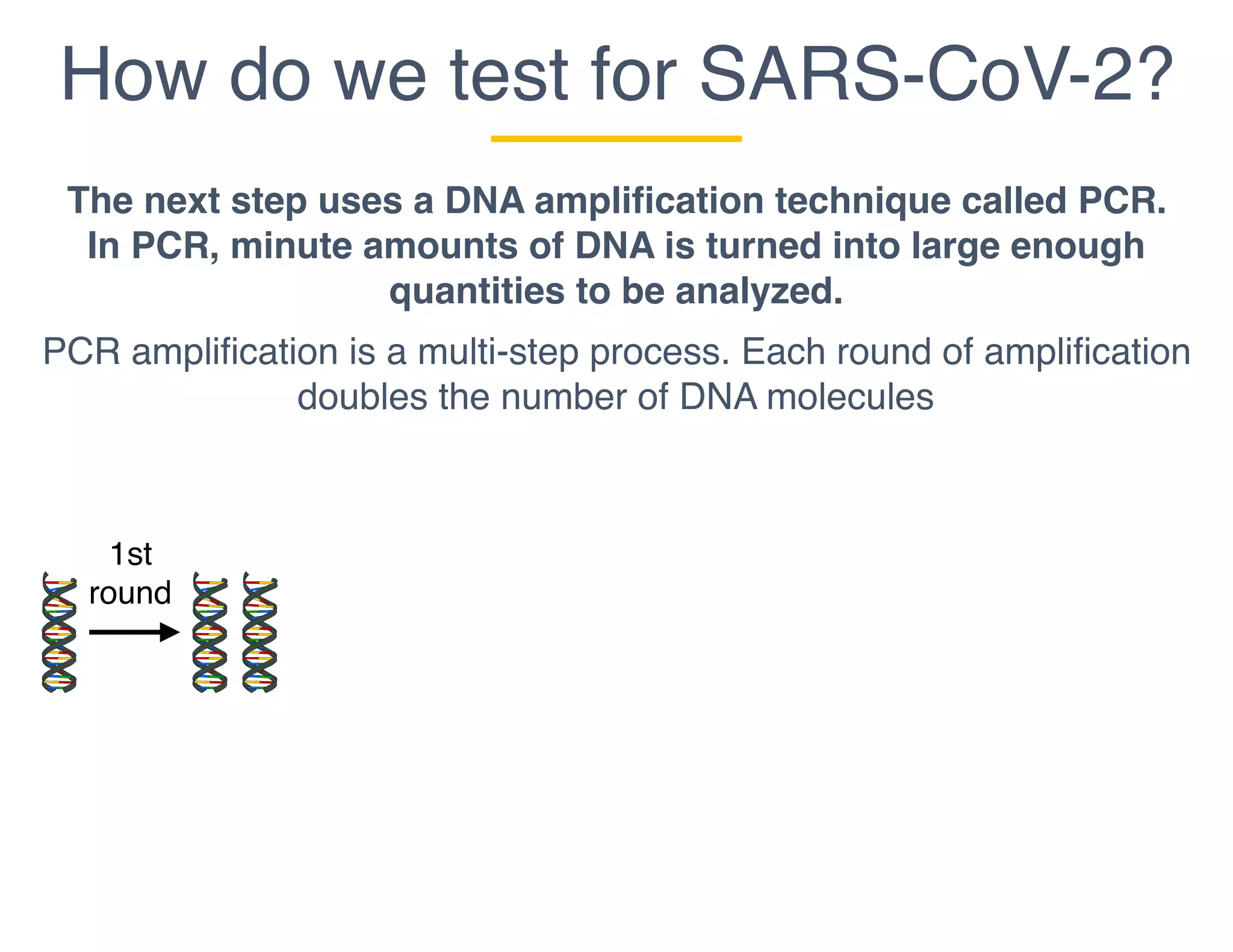 How do we test for SARS-CoV-2?
The next step uses a DNA amplification technique called PCR.
In PCR, minute amounts of DNA is turned into large enough
quantities to be analyzed.
PCR amplification is a multi-step process. Each round of amplification
doubles the number of DNA molecules
1st
round
 