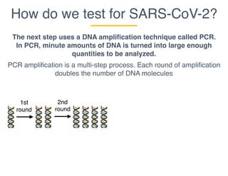 How do we test for SARS-CoV-2?
The next step uses a DNA amplification technique called PCR.
In PCR, minute amounts of DNA is turned into large enough
quantities to be analyzed.
PCR amplification is a multi-step process. Each round of amplification
doubles the number of DNA molecules
1st
round
2nd
round
 