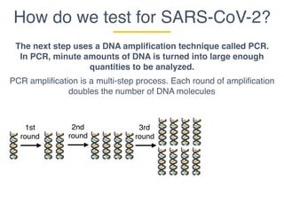 How do we test for SARS-CoV-2?
The next step uses a DNA amplification technique called PCR.
In PCR, minute amounts of DNA is turned into large enough
quantities to be analyzed.
PCR amplification is a multi-step process. Each round of amplification
doubles the number of DNA molecules
1st
round
2nd
round
3rd
round
 